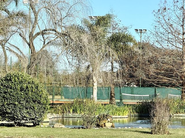 place photo 34