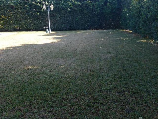 place photo 47