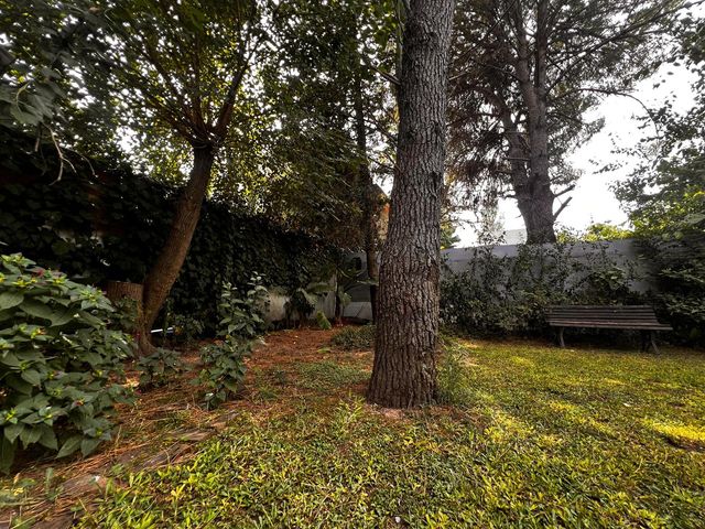 place photo 55