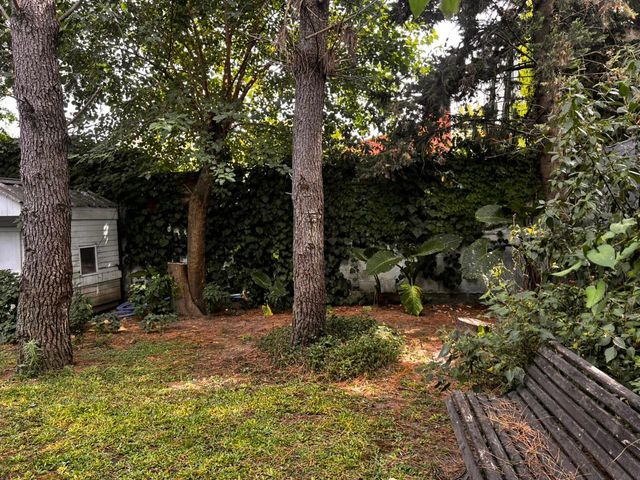 place photo 54