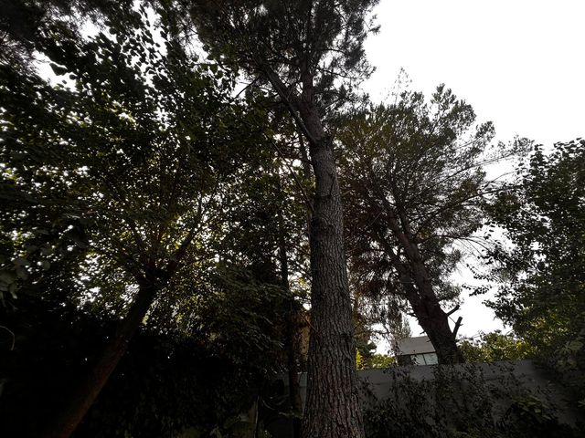place photo 56