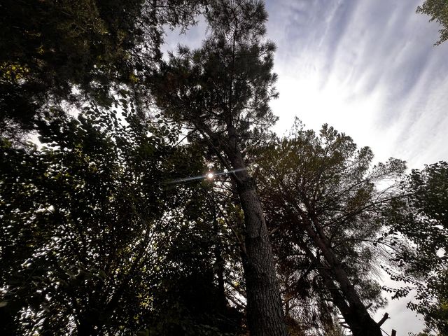 place photo 57