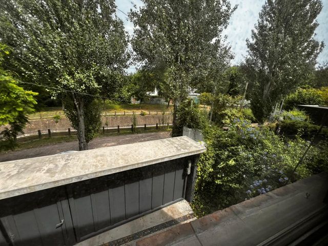 place photo 62