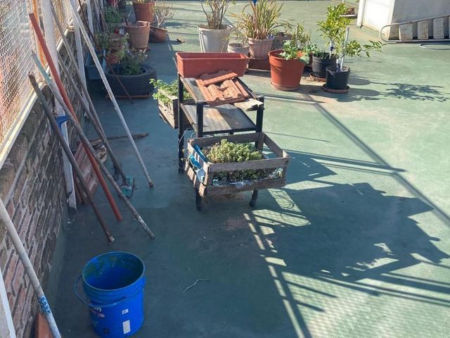 place photo 36