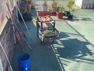 place photo 36