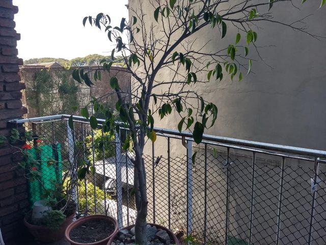 place photo 24