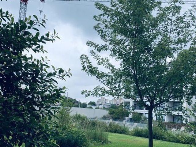 place photo 52
