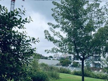 place photo 52