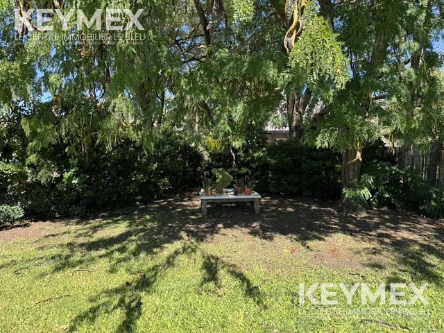 place photo 47