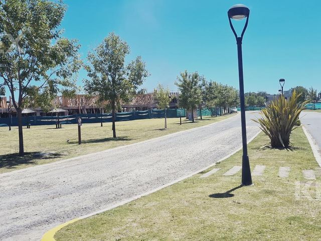 place photo 32