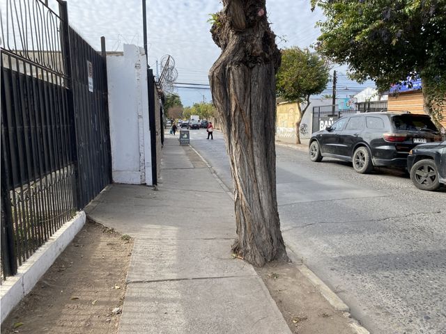 place photo 18