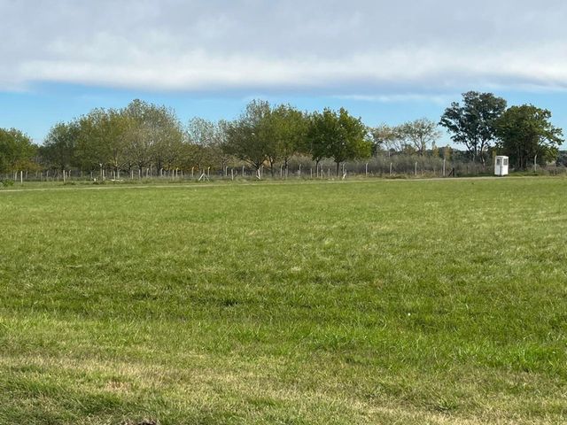 place photo 32