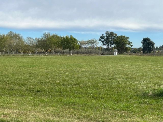 place photo 33