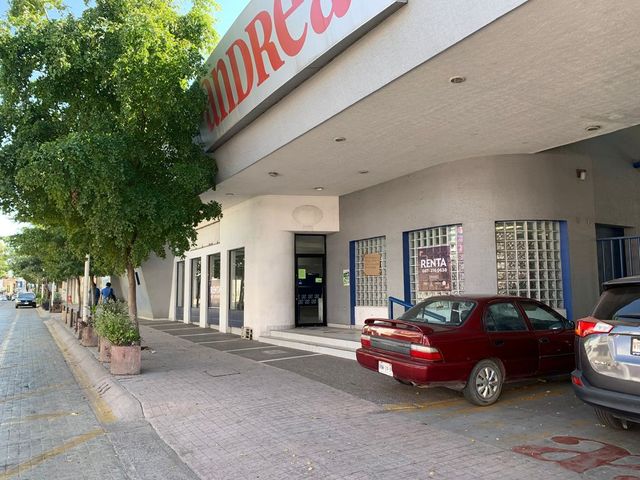 place photo 16