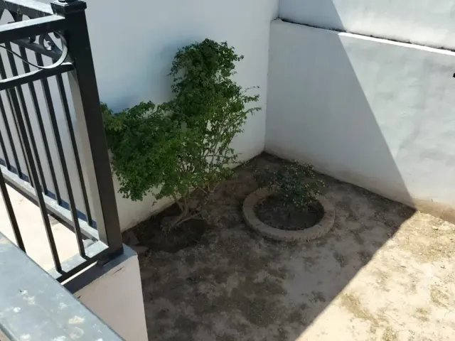 place photo 39