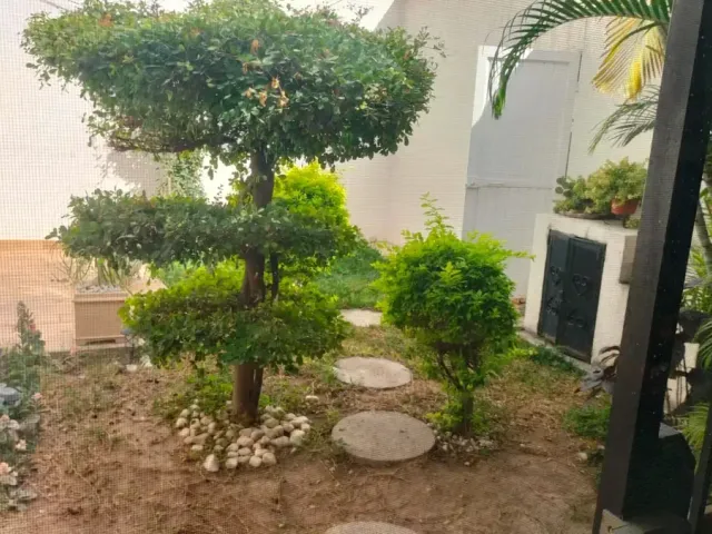 place photo 23