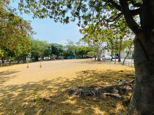 place photo 12