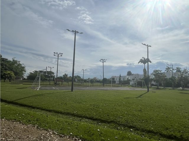 place photo 37