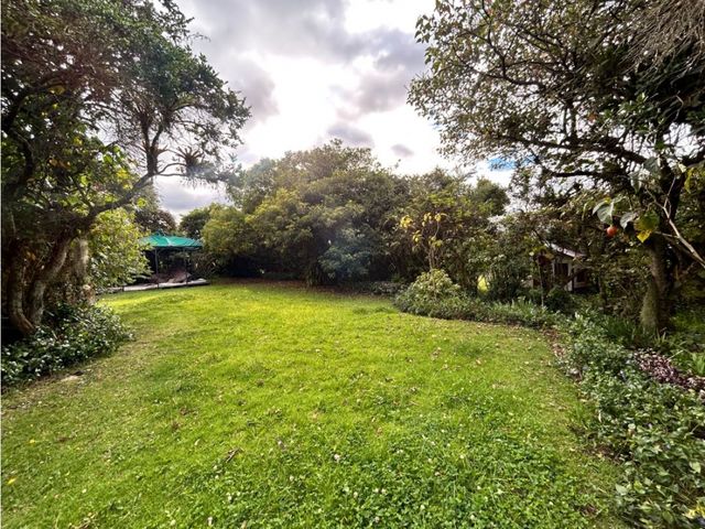 place photo 49