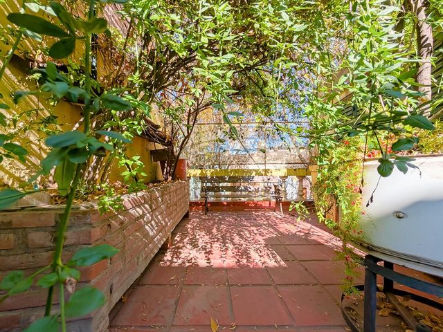 place photo 43