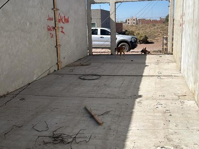 place photo 48