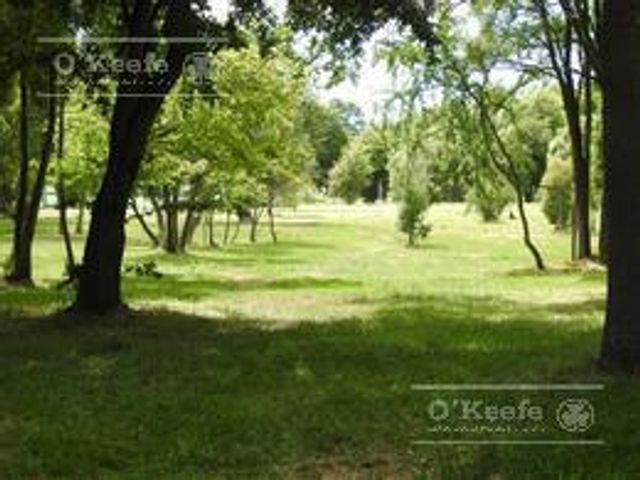 place photo 43