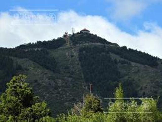 place photo 44