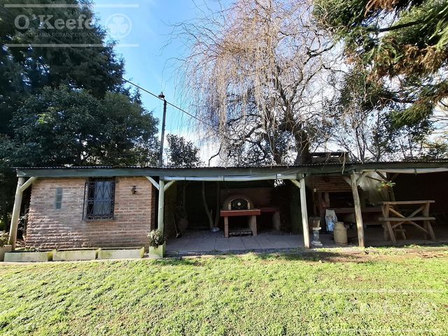 place photo 16