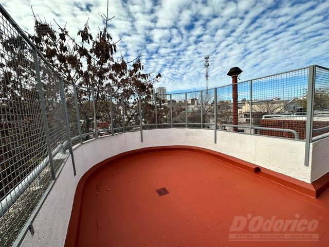 place photo 43