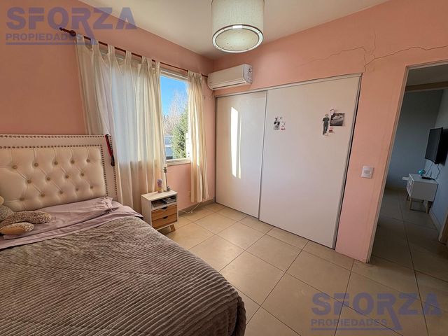 place photo 49