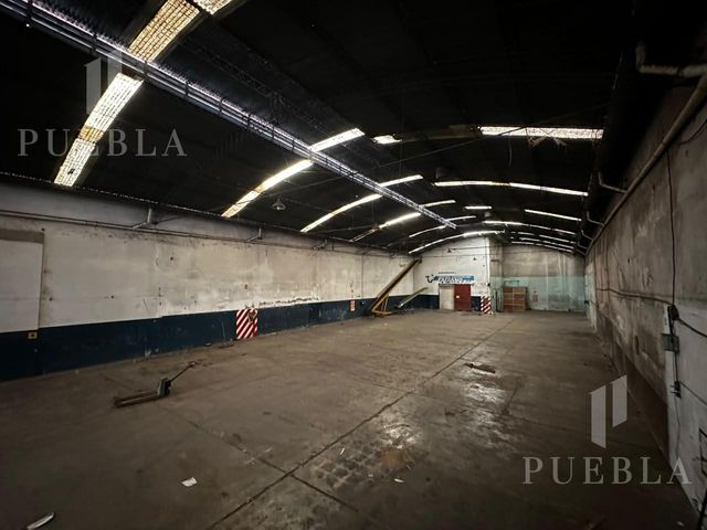 place photo 17