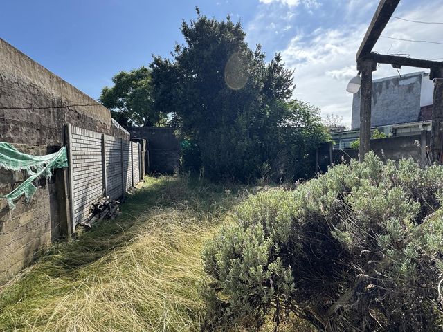 place photo 13