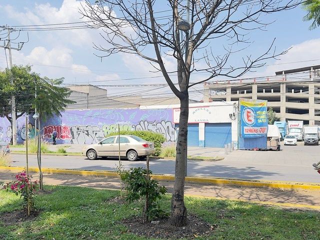 place photo 15
