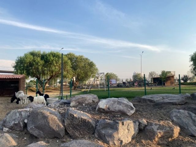 place photo 24
