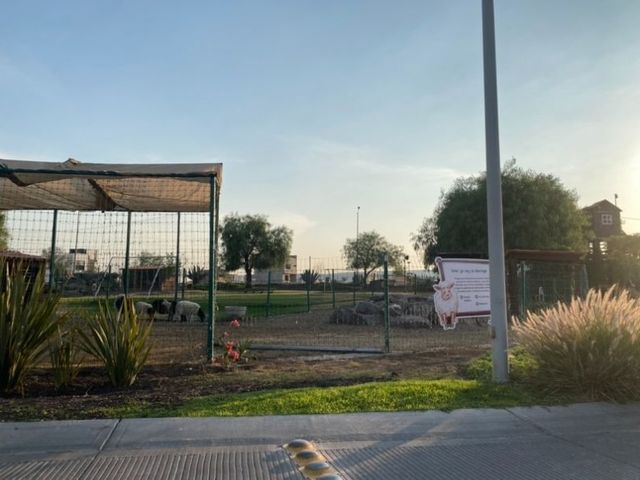 place photo 23