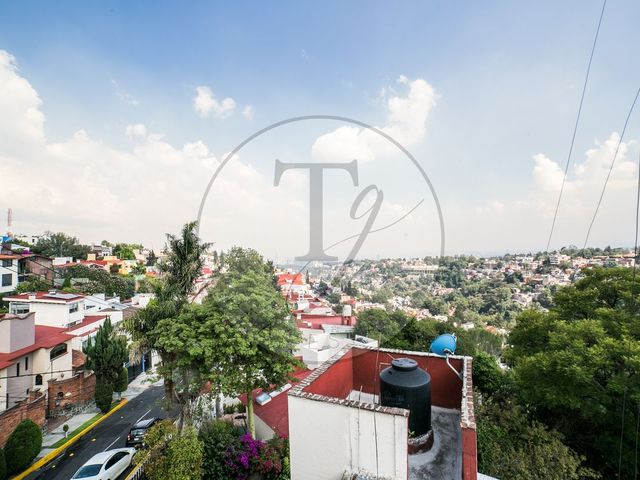 place photo 36