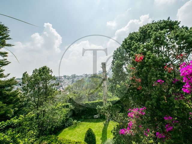 place photo 41