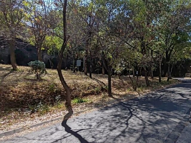 place photo 24