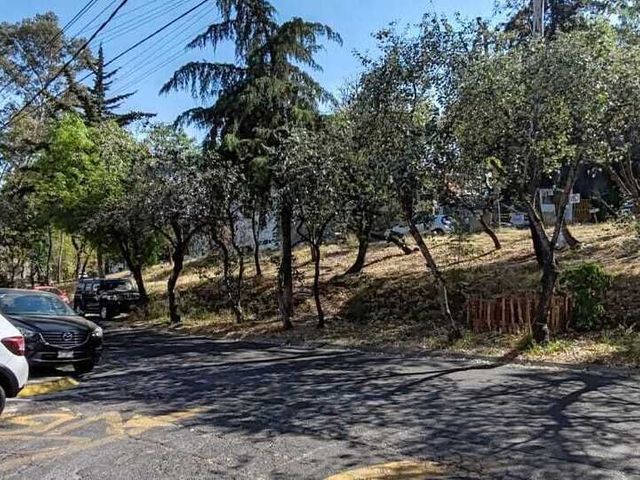 place photo 23