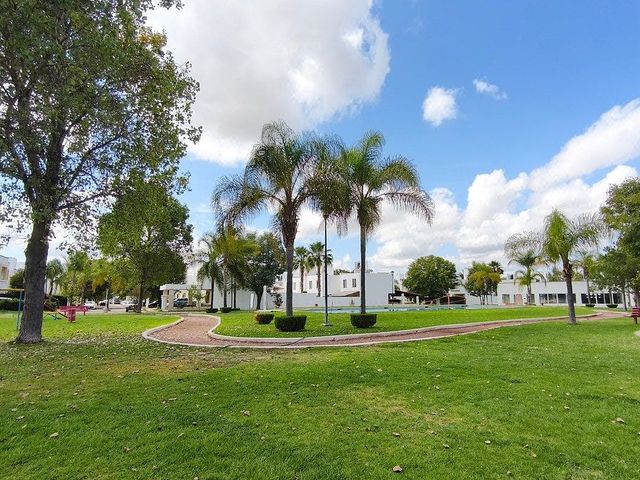 place photo 29
