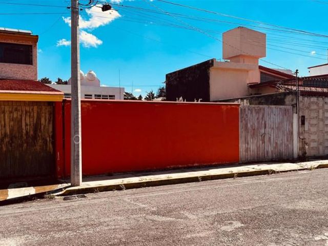 place photo 24
