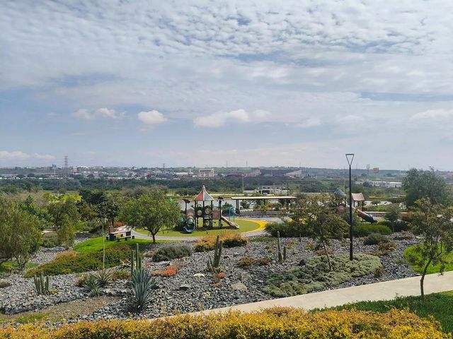 place photo 22