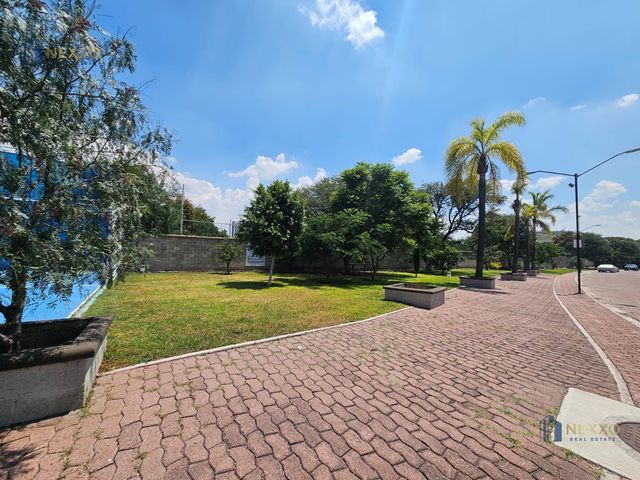 place photo 44