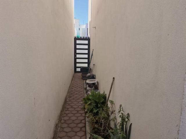 place photo 23