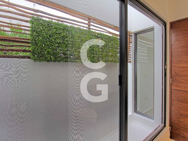 place photo 46