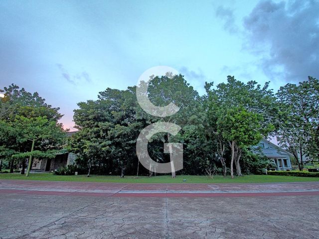 place photo 58