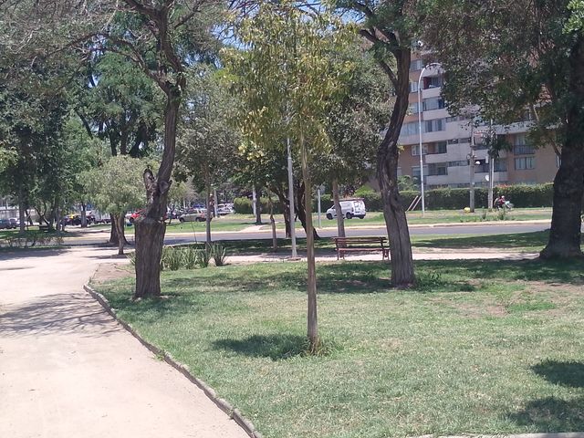 place photo 16