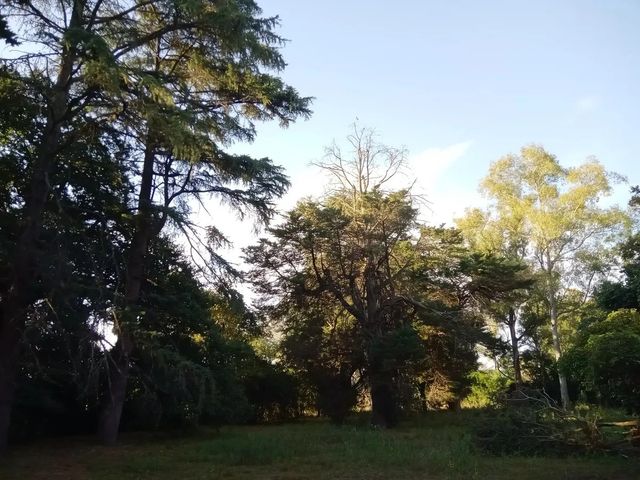place photo 15