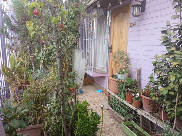 place photo 42