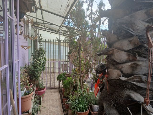 place photo 43